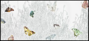 Ten Butterflies No1 (Manu)